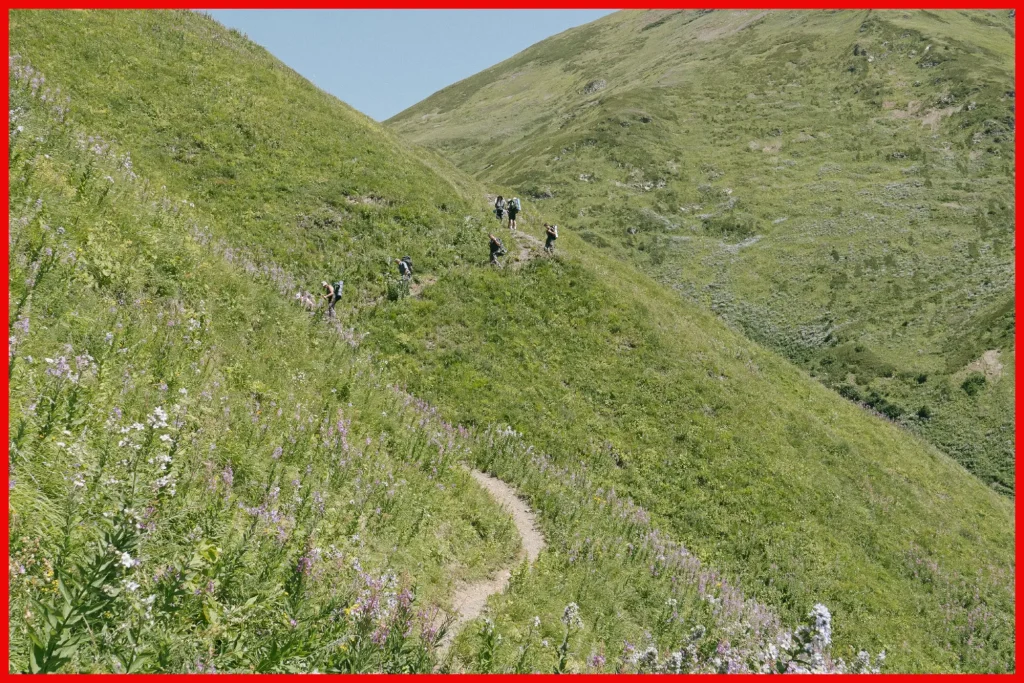 Hikers on a narrow mountain trail amidst lush greenery and wildflowers, with a rolling green landscape stretching into the distance.